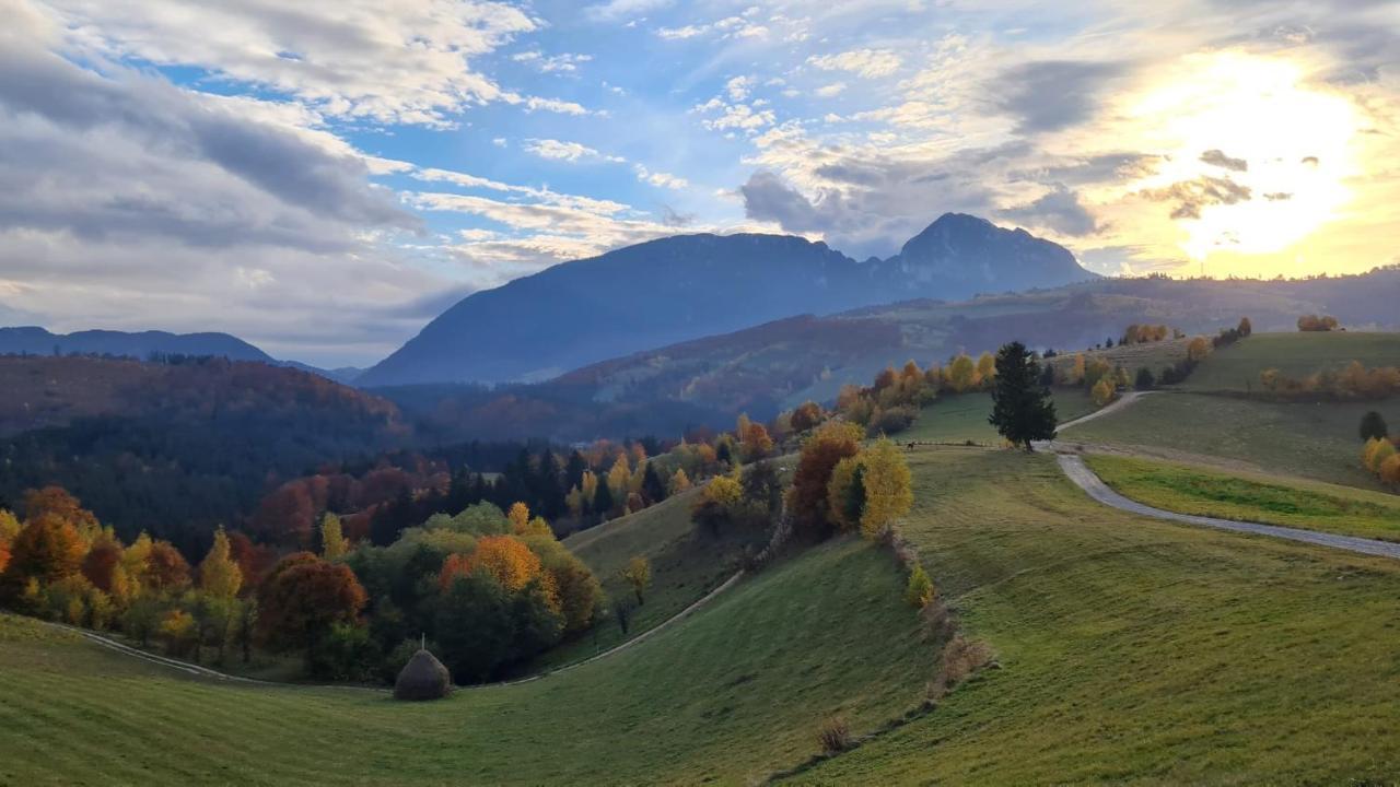 My Little Village Poiana Mărului Eksteriør billede
