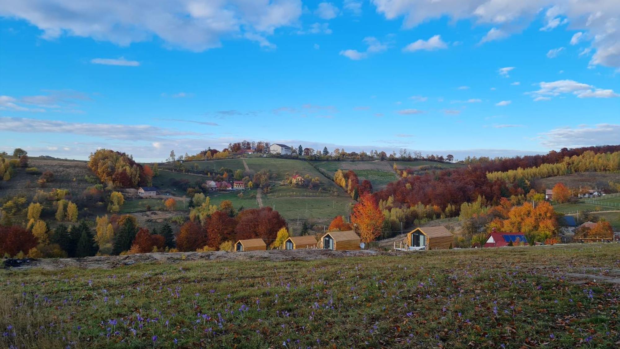 My Little Village Poiana Mărului Eksteriør billede