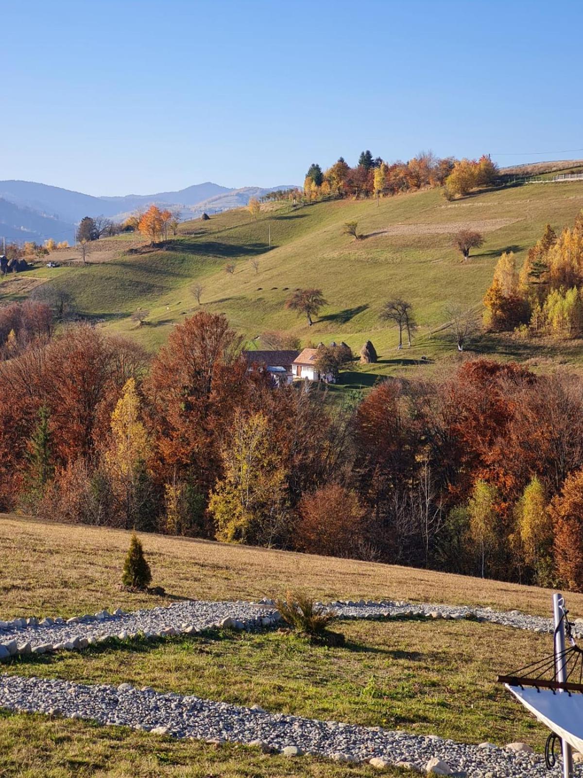 My Little Village Poiana Mărului Eksteriør billede