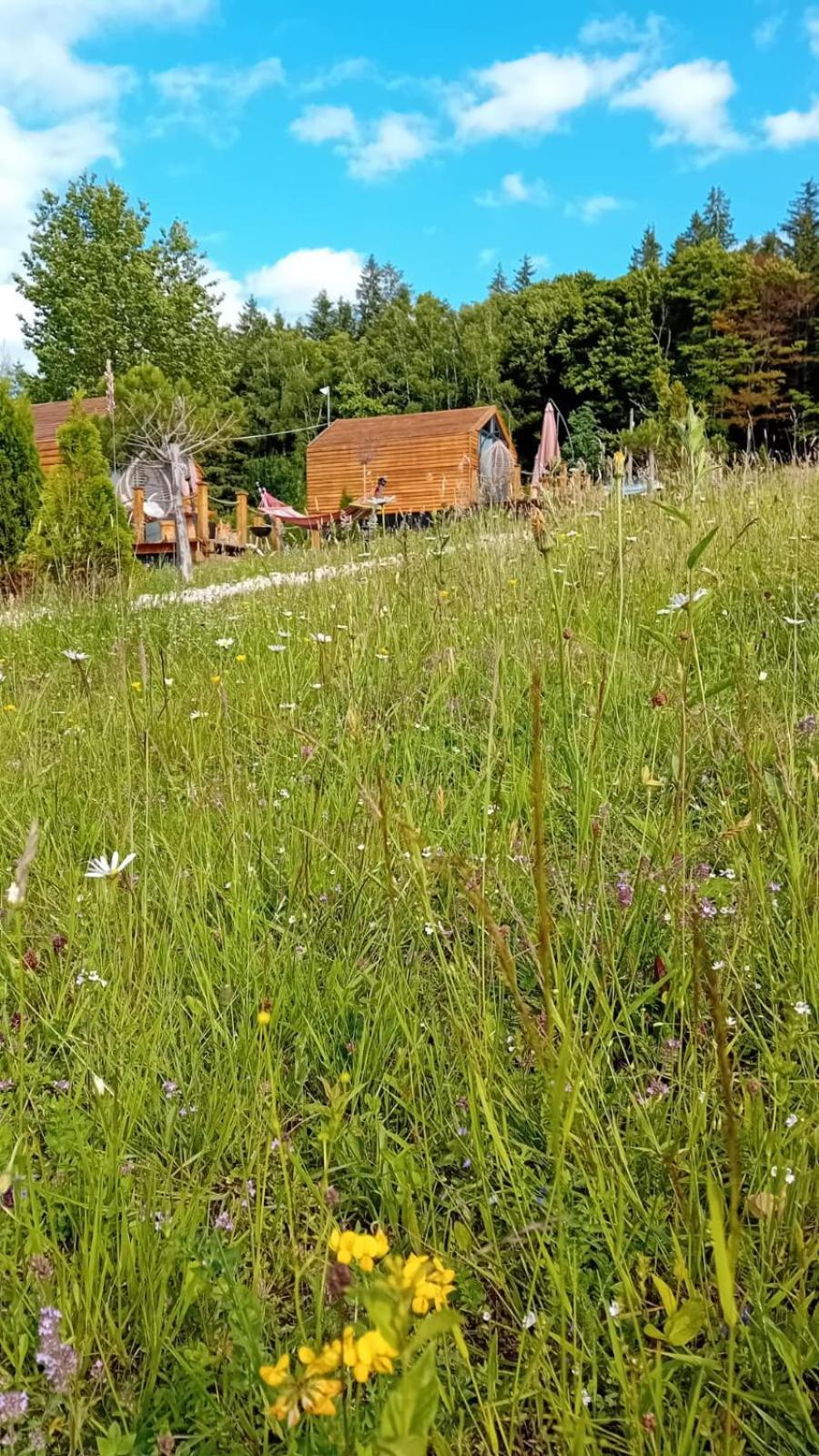 My Little Village Poiana Mărului Eksteriør billede